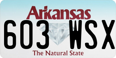 AR license plate 603WSX