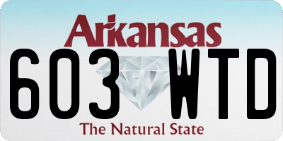 AR license plate 603WTD