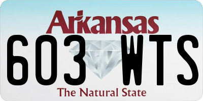 AR license plate 603WTS
