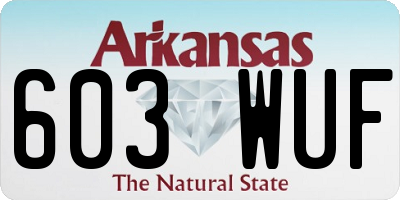 AR license plate 603WUF