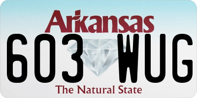 AR license plate 603WUG
