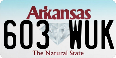 AR license plate 603WUK