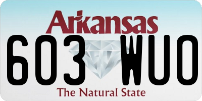 AR license plate 603WUO