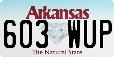 AR license plate 603WUP