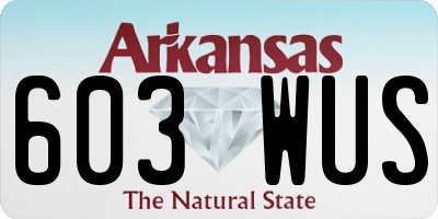 AR license plate 603WUS