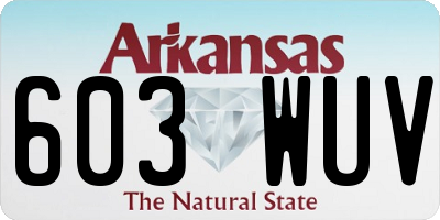 AR license plate 603WUV