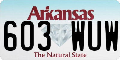 AR license plate 603WUW