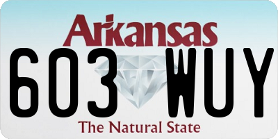 AR license plate 603WUY
