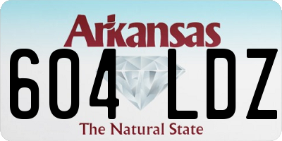 AR license plate 604LDZ