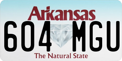 AR license plate 604MGU