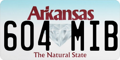 AR license plate 604MIB