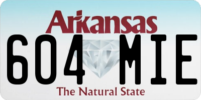 AR license plate 604MIE