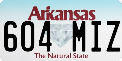 AR license plate 604MIZ
