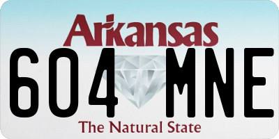 AR license plate 604MNE