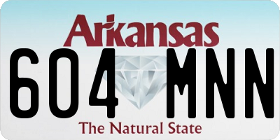 AR license plate 604MNN