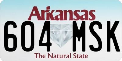 AR license plate 604MSK
