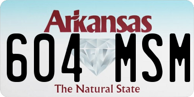 AR license plate 604MSM