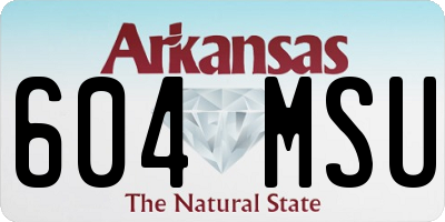 AR license plate 604MSU