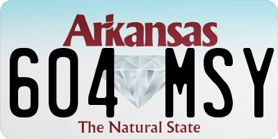AR license plate 604MSY