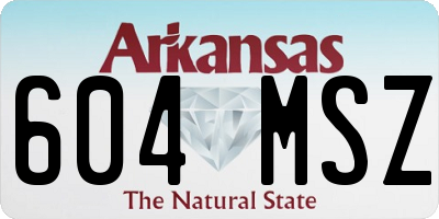 AR license plate 604MSZ