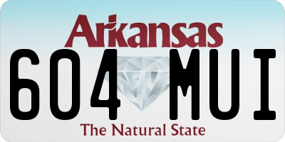 AR license plate 604MUI