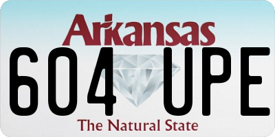 AR license plate 604UPE