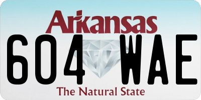 AR license plate 604WAE