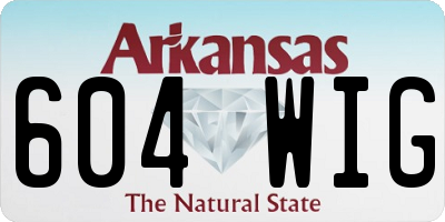 AR license plate 604WIG