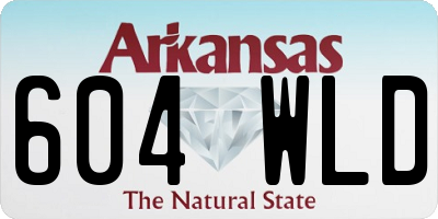 AR license plate 604WLD