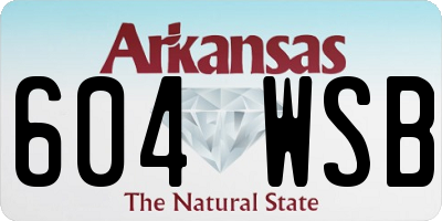 AR license plate 604WSB