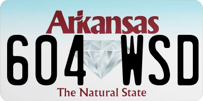 AR license plate 604WSD