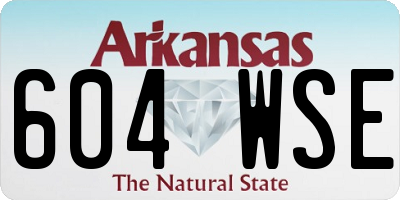 AR license plate 604WSE