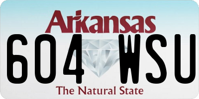 AR license plate 604WSU