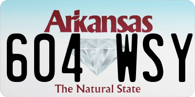 AR license plate 604WSY