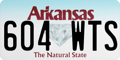 AR license plate 604WTS