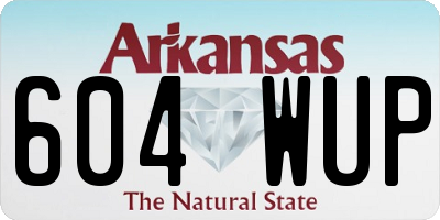 AR license plate 604WUP