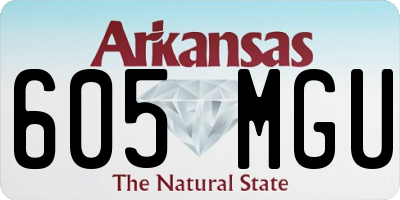 AR license plate 605MGU