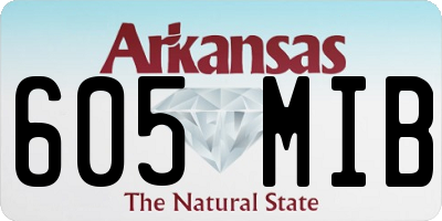 AR license plate 605MIB