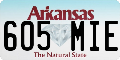 AR license plate 605MIE