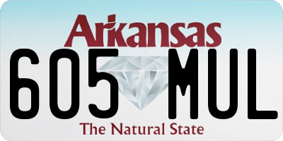 AR license plate 605MUL