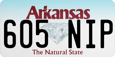 AR license plate 605NIP