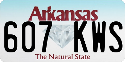 AR license plate 607KWS