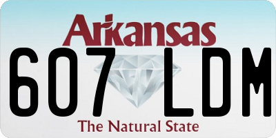 AR license plate 607LDM