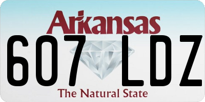AR license plate 607LDZ