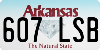 AR license plate 607LSB