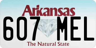 AR license plate 607MEL