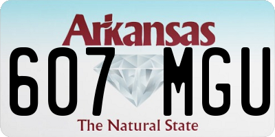 AR license plate 607MGU