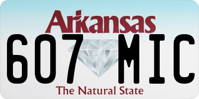 AR license plate 607MIC