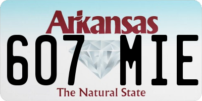 AR license plate 607MIE
