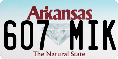 AR license plate 607MIK